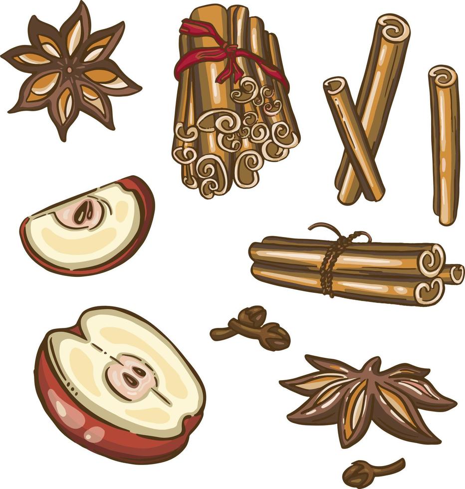 Christmas spices, star anise and apple vector