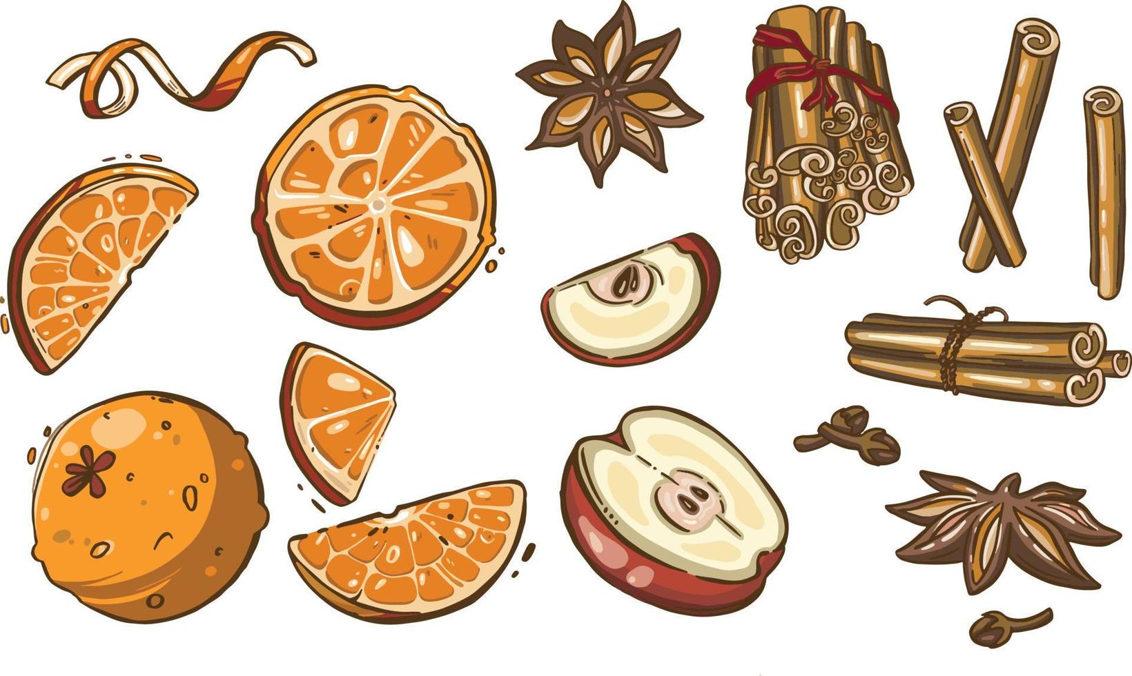 Christmas spices, star anise and apple vector