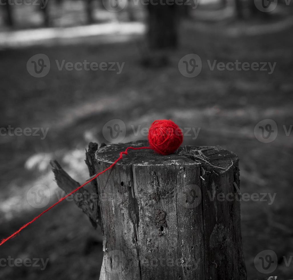 bola de hilo de lana roja para tejer sobre un tocón de árbol foto