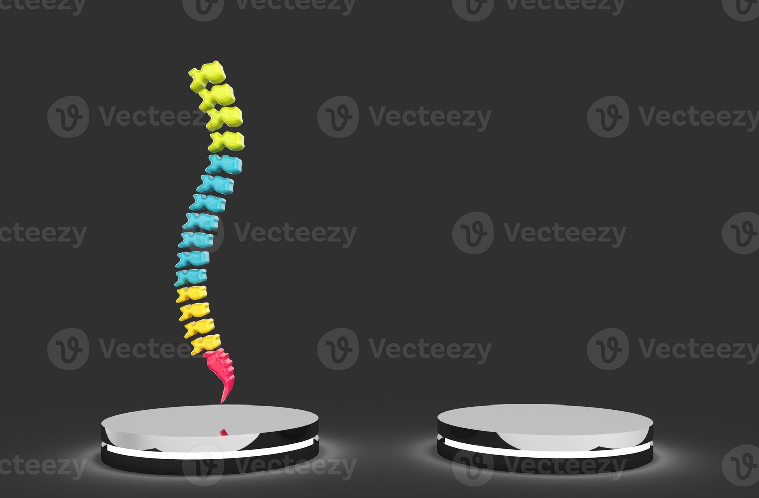 3D Realistic human spine backbone and vertebral column anatomy scoliosis conceptellness, x-ray photo