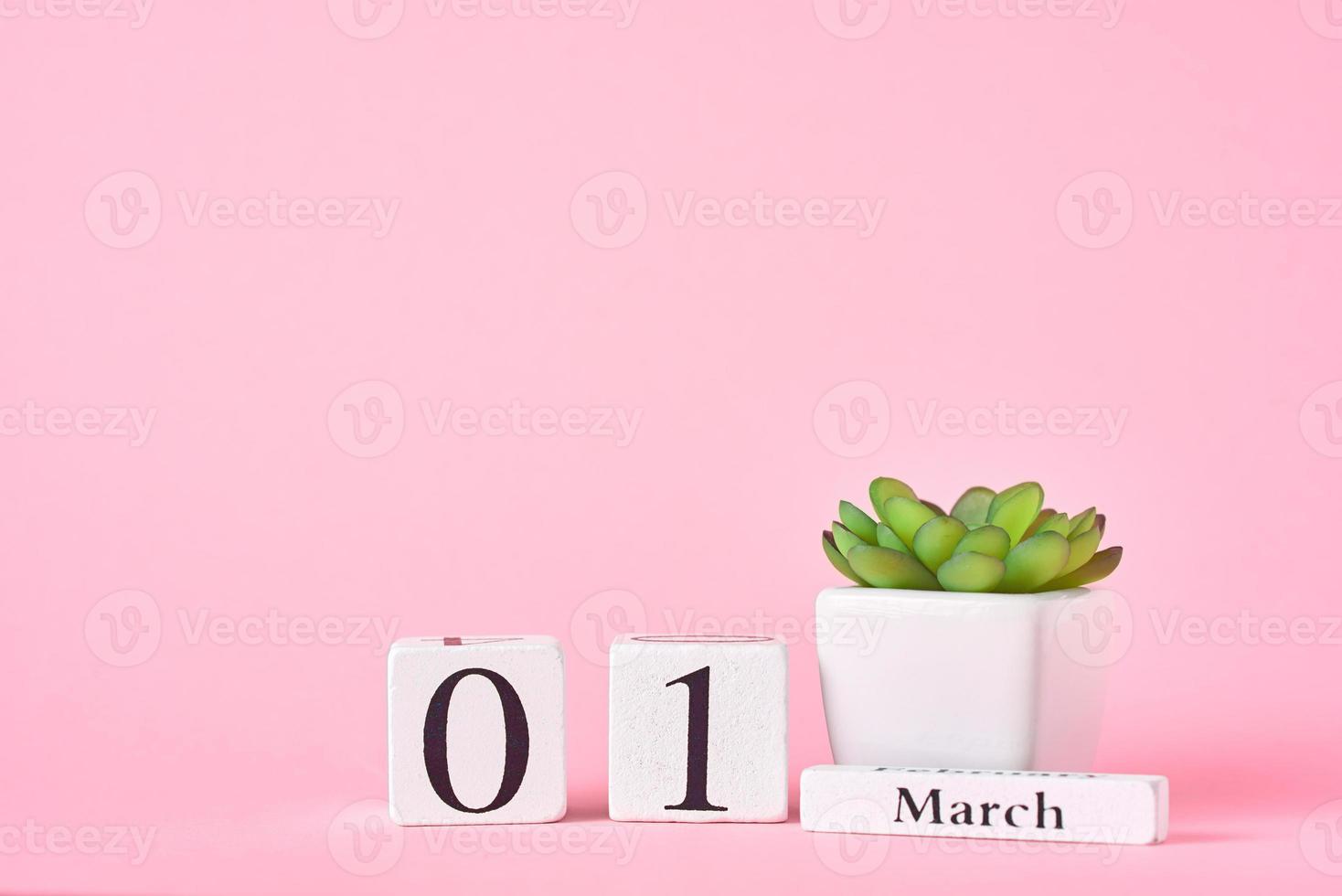 Wooden block calendar with date 1st march and plant on the pink background photo