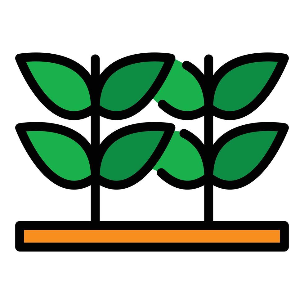 Grow plants icon color outline vector