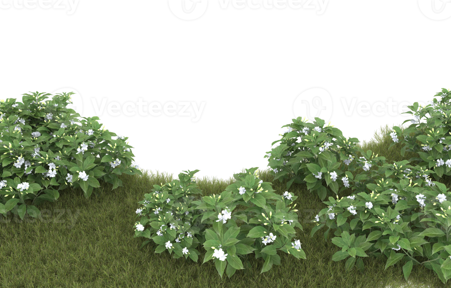 Realistic foliage isolated on transparent background. 3d rendering - illustration png