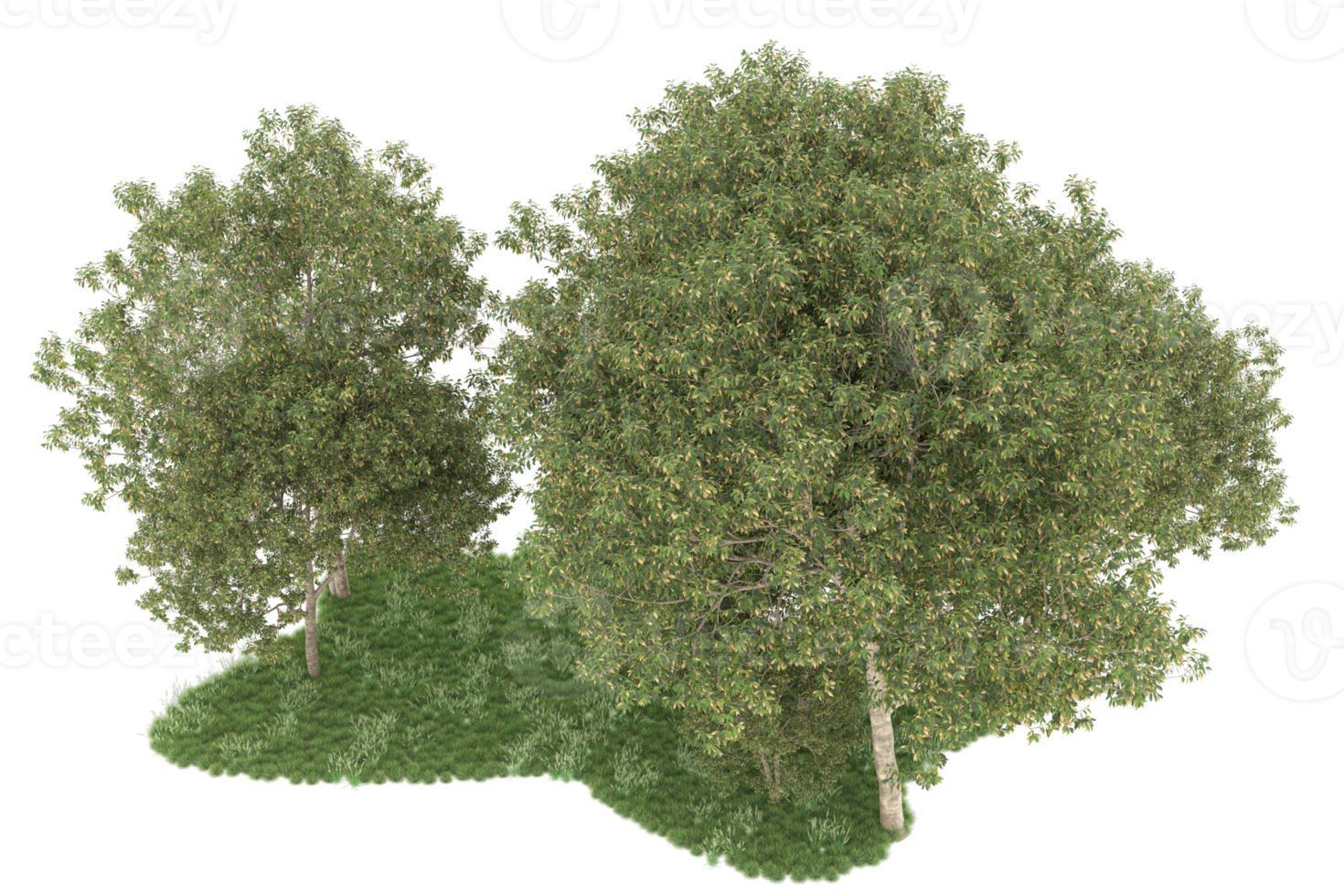 Realistic forest isolated on transparent background. 3d rendering - illustration png
