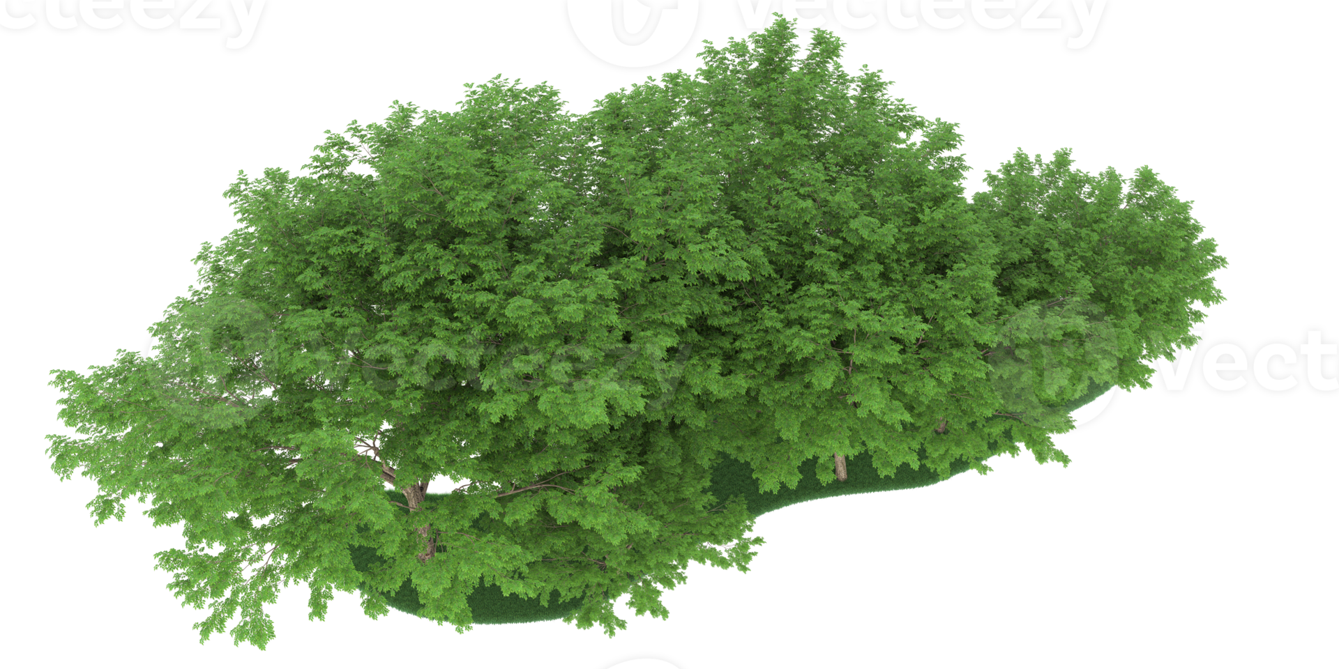 realistischer wald lokalisiert auf transparentem hintergrund. 3D-Rendering - Abbildung png