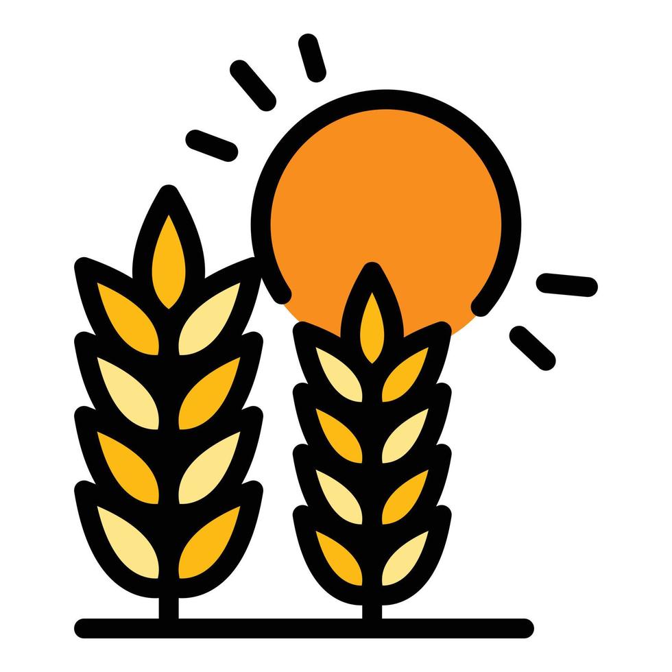 Wheat sun icon color outline vector