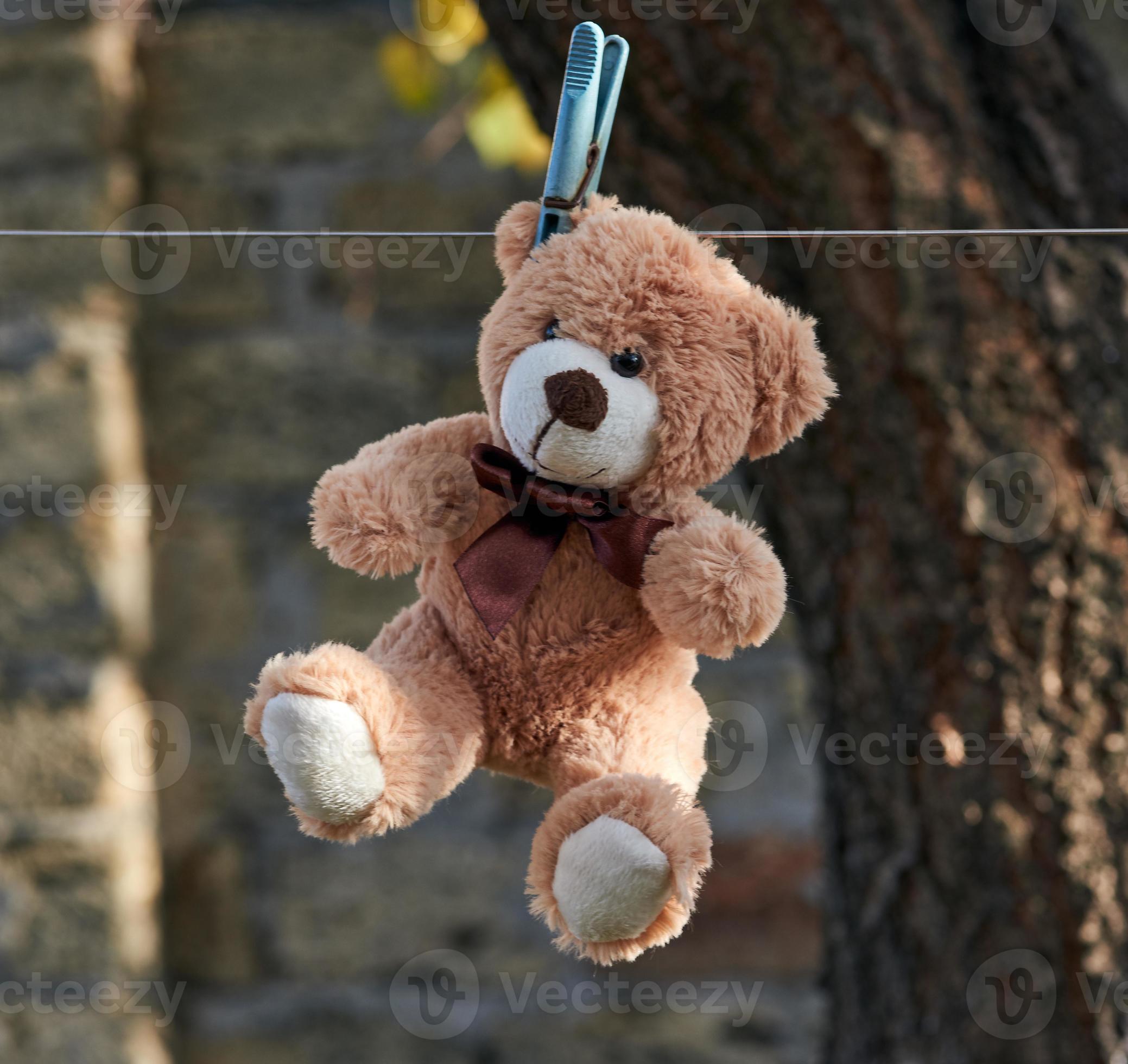 hanging teddy bear