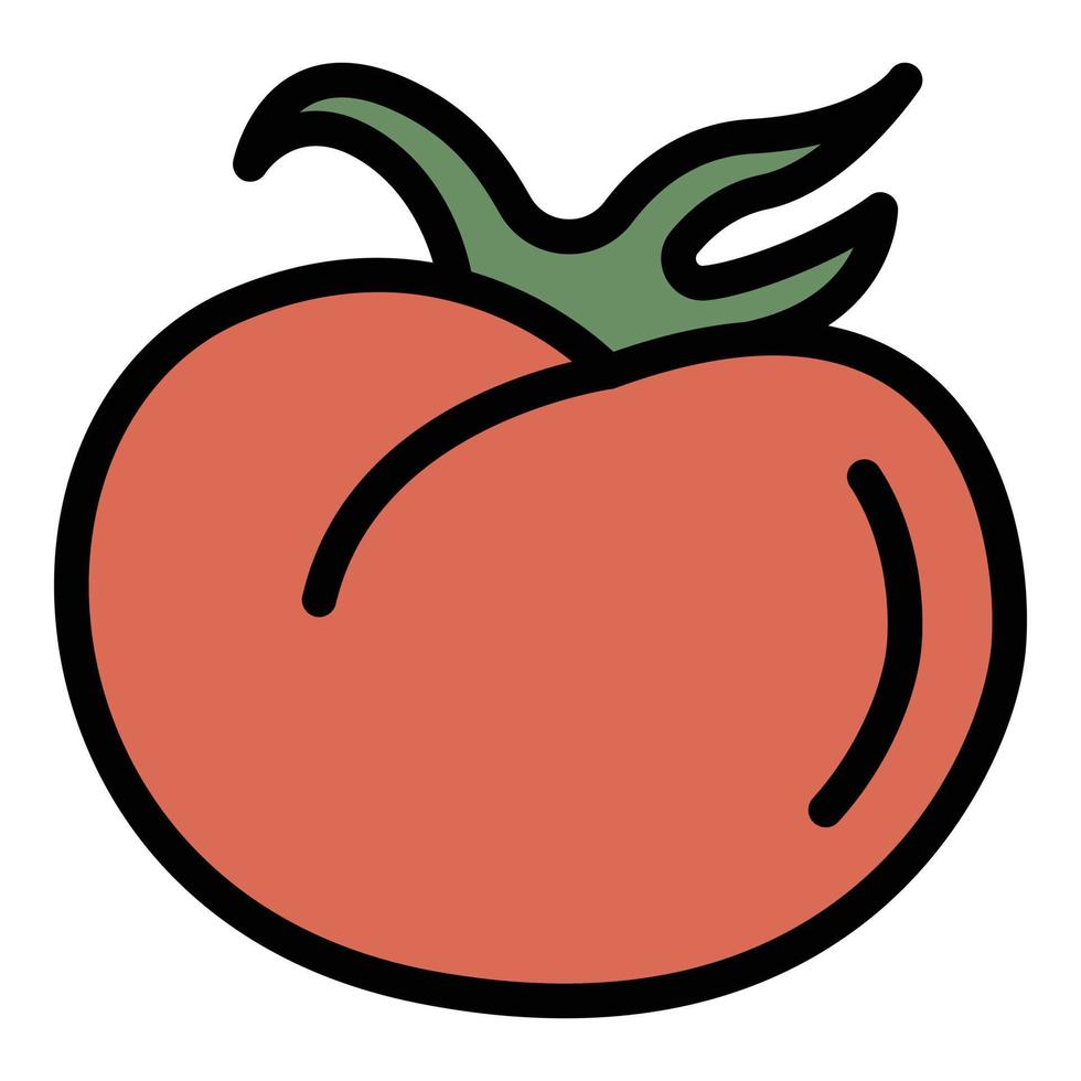 Food tomato icon color outline vector