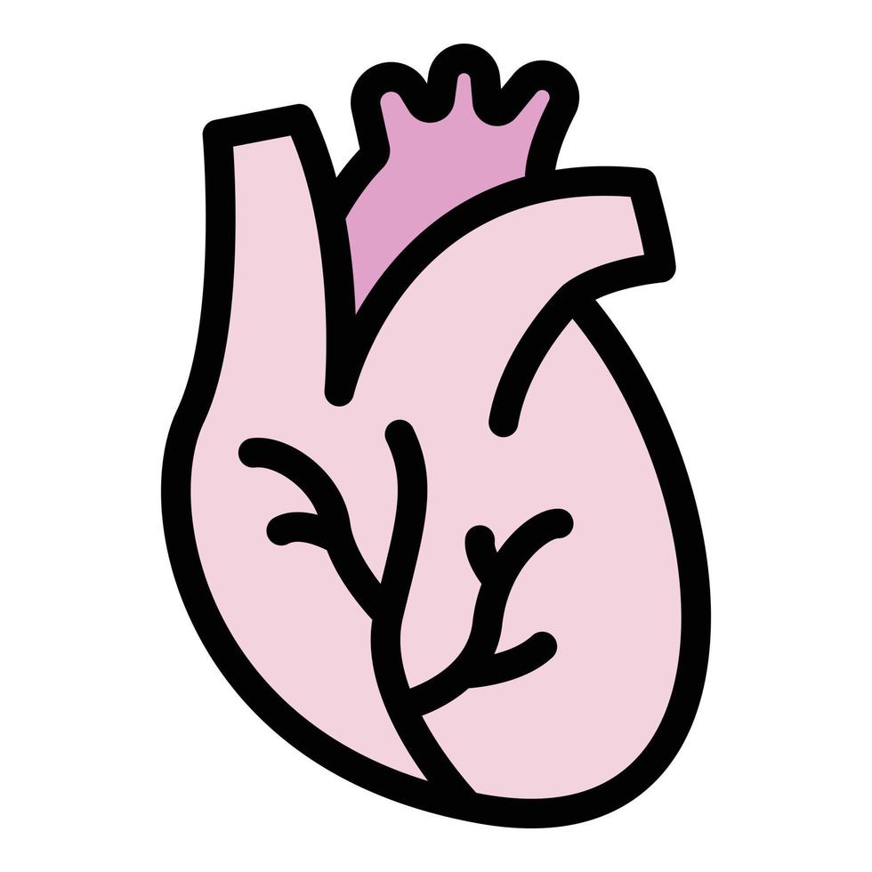 vector de contorno de color de icono de corazón humano de salud