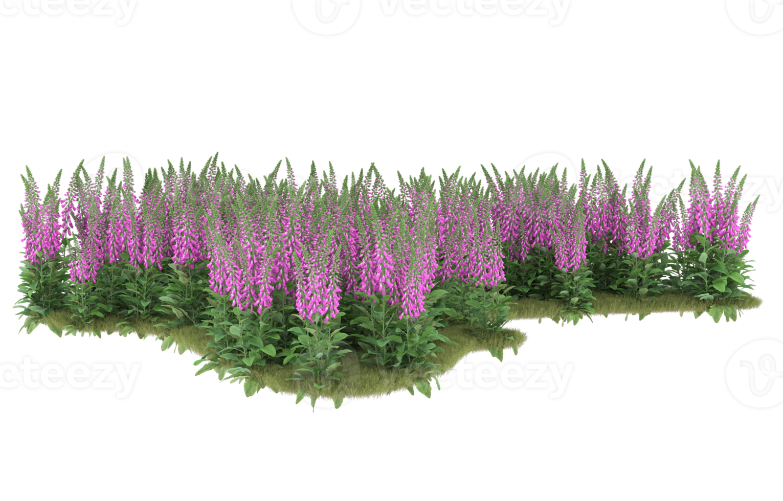 Realistic foliage isolated on transparent background. 3d rendering - illustration png