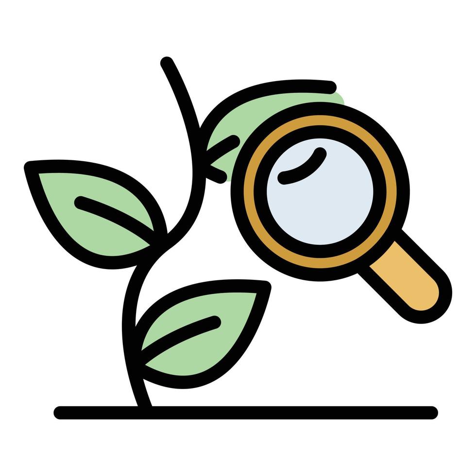 Herbal plant under magnifier icon color outline vector