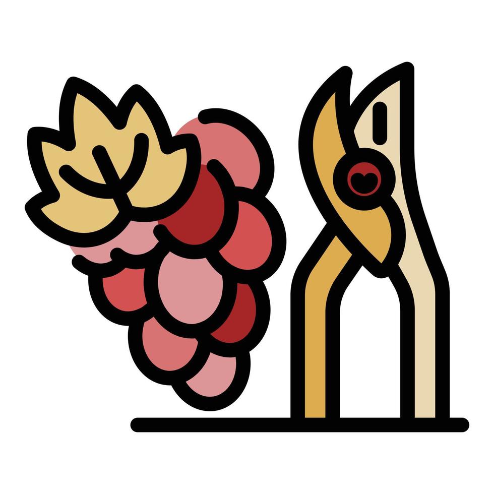 vector de contorno de color de icono de tijeras de podar y uvas