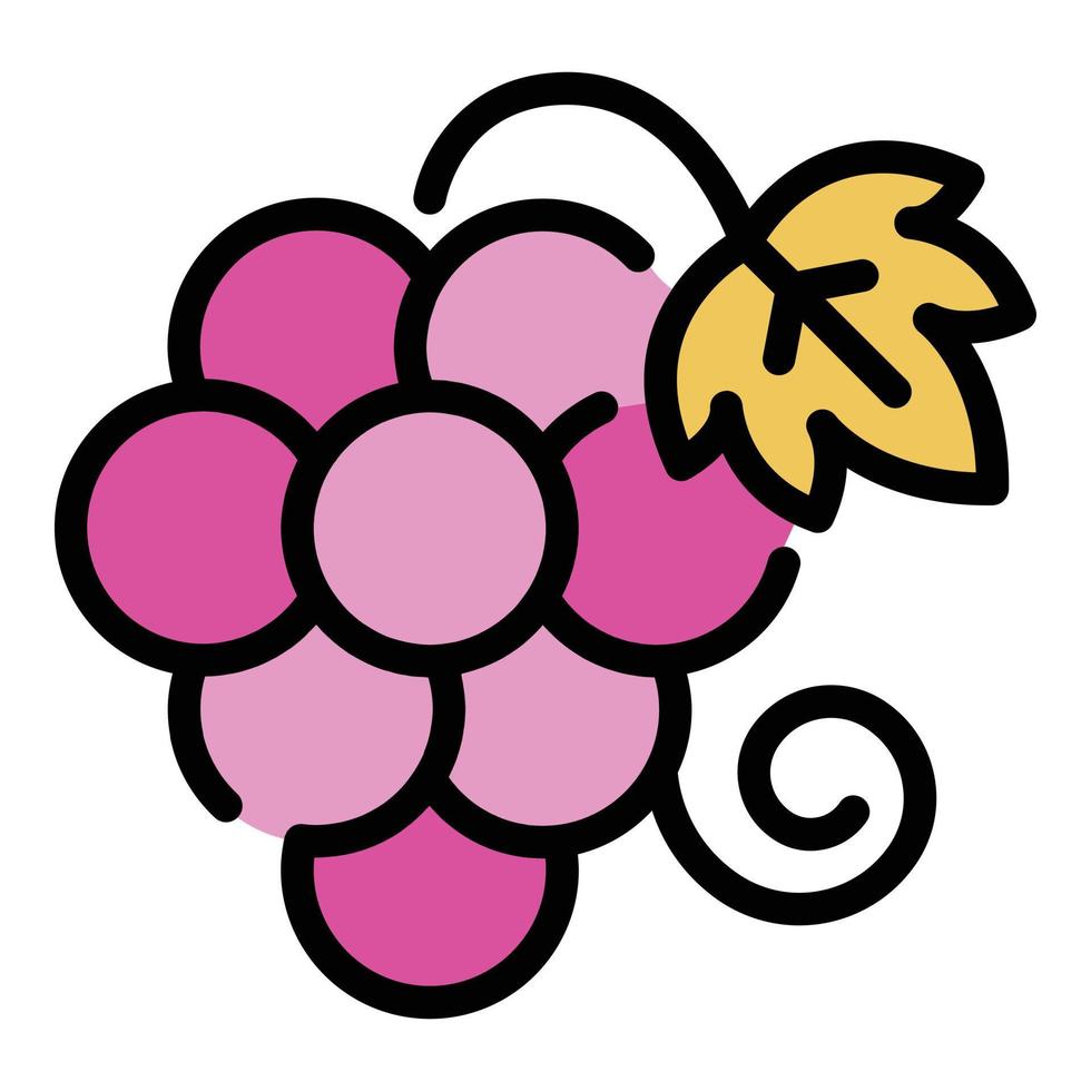 Bunch of grapes icon color outline vector