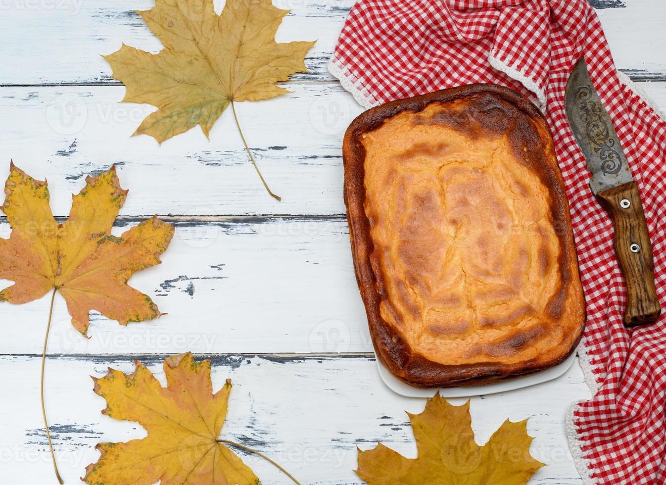 whole rectangular pie of cottage cheese and pumpkin photo