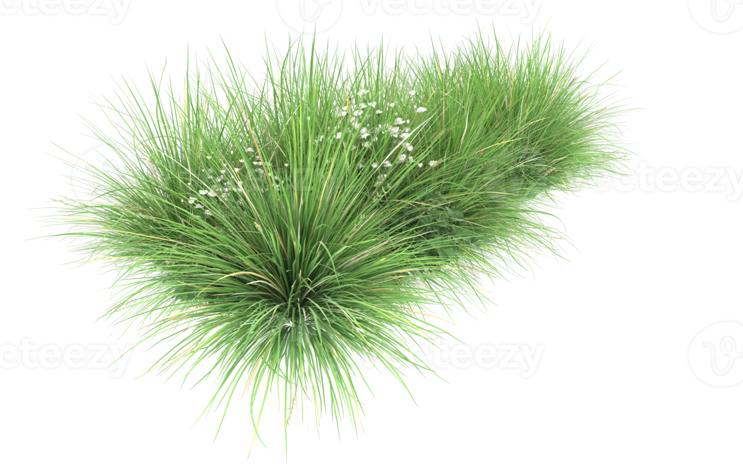 Realistic foliage isolated on transparent background. 3d rendering - illustration png