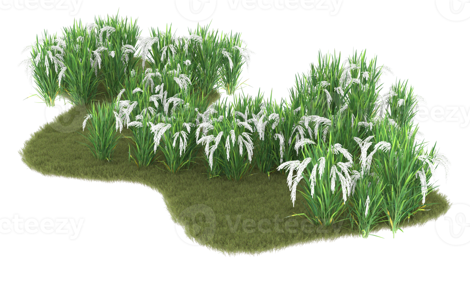 Realistic foliage isolated on transparent background. 3d rendering - illustration png