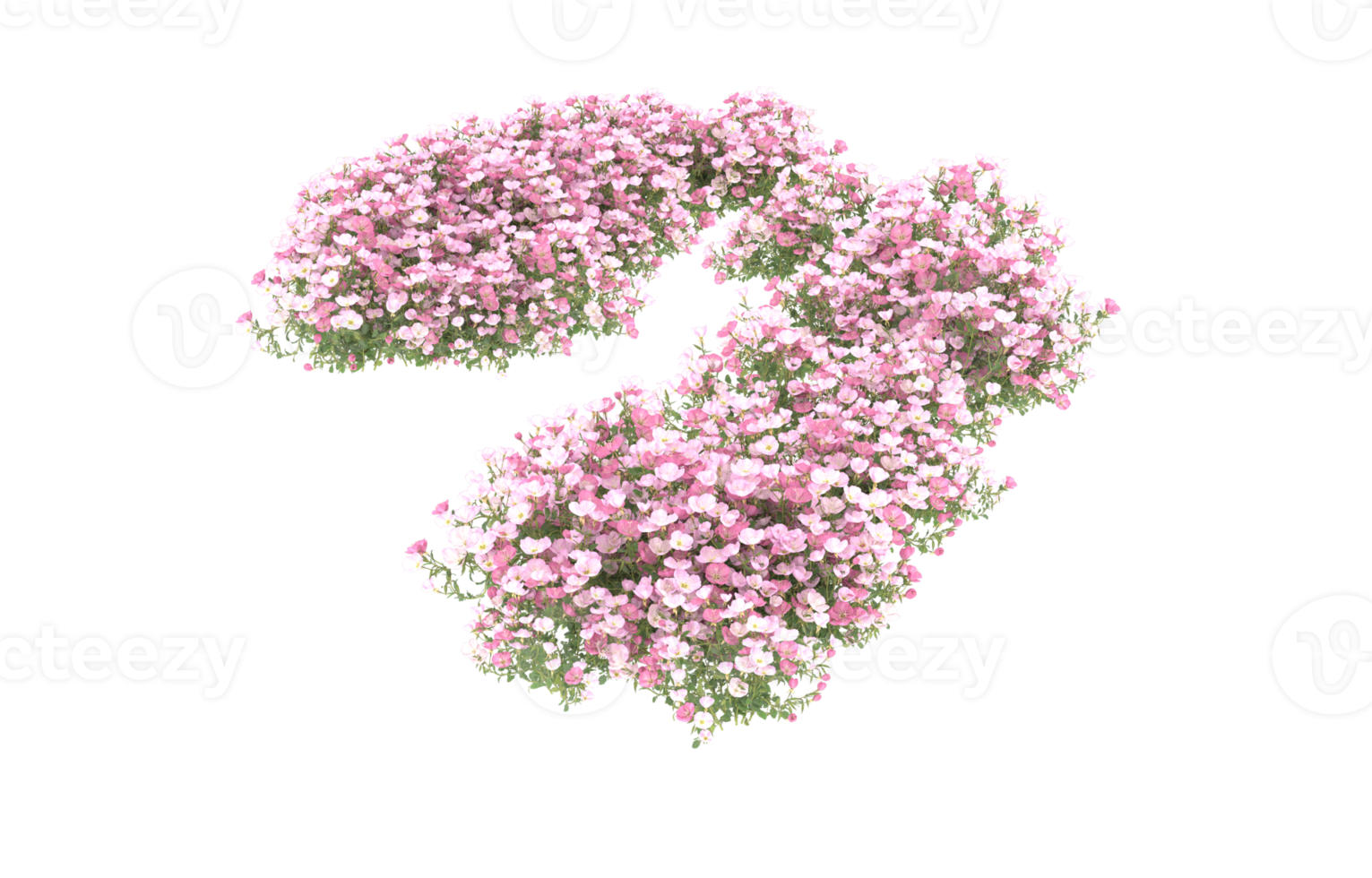 Realistic foliage isolated on transparent background. 3d rendering - illustration png