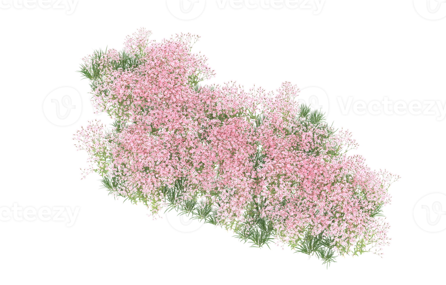 Realistic foliage isolated on transparent background. 3d rendering - illustration png