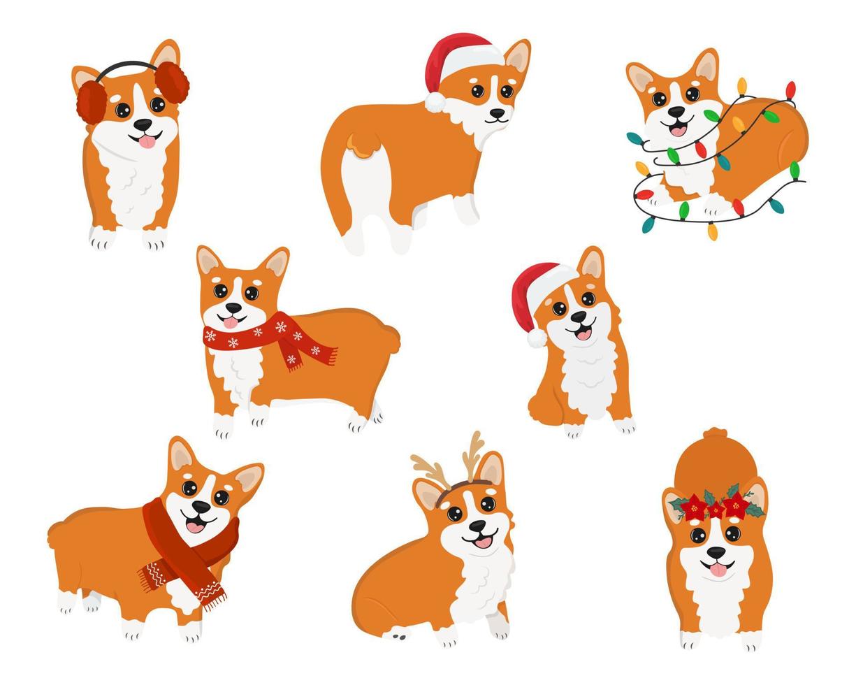 clipart vectorial con lindo corgi navideño. colección de personajes de perros de invierno. ilustración para diseño, decoración, impresión, pegatinas, carteles. ilustración vectorial aislada en un fondo blanco. vector