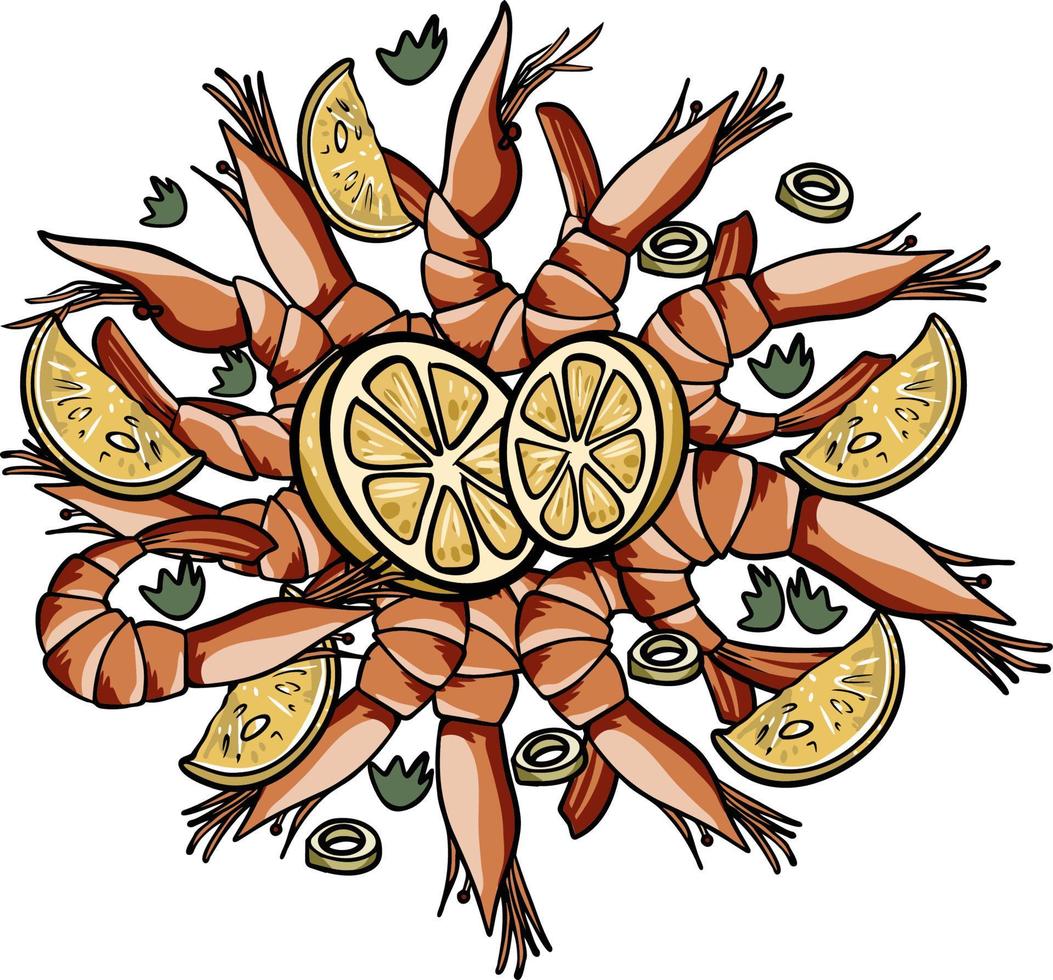 King Shrimp Set. Realistic shrimp set isolated on white background, prawns fresh sea food appetizer, vector illustration.