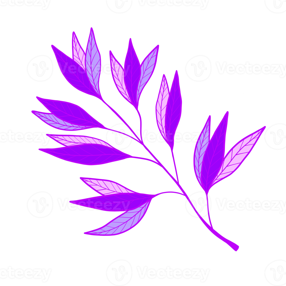 Purple Leaves Illustration. Vivid leaves. Natural. png