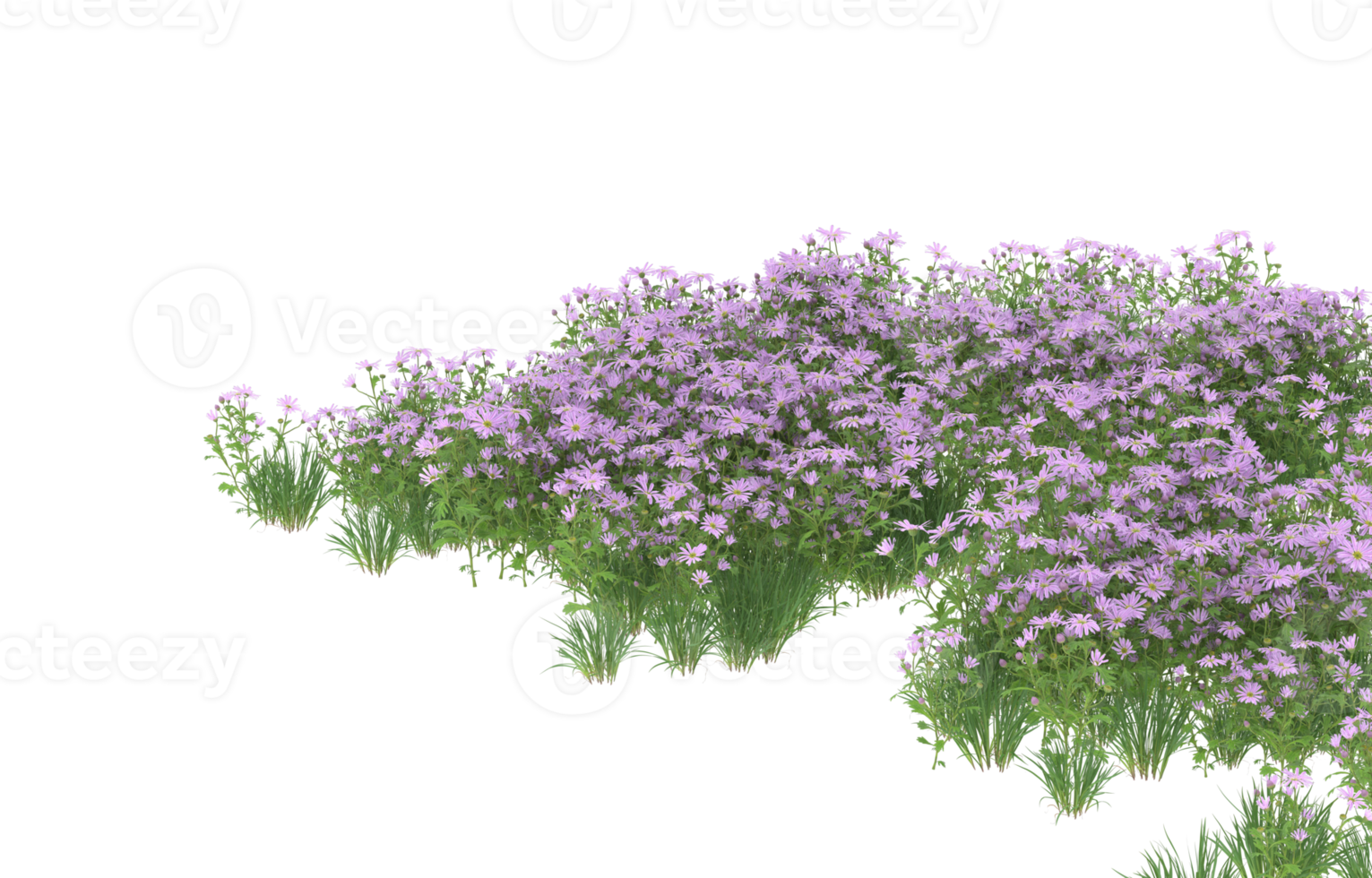 Realistic foliage isolated on transparent background. 3d rendering - illustration png