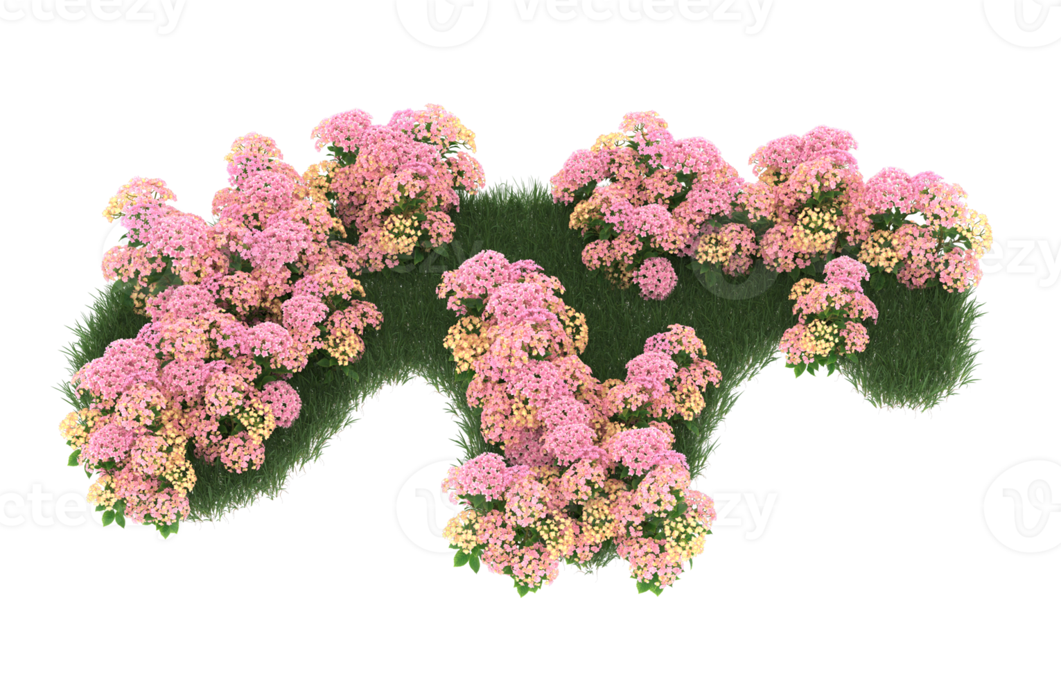 Realistic foliage isolated on transparent background. 3d rendering - illustration png