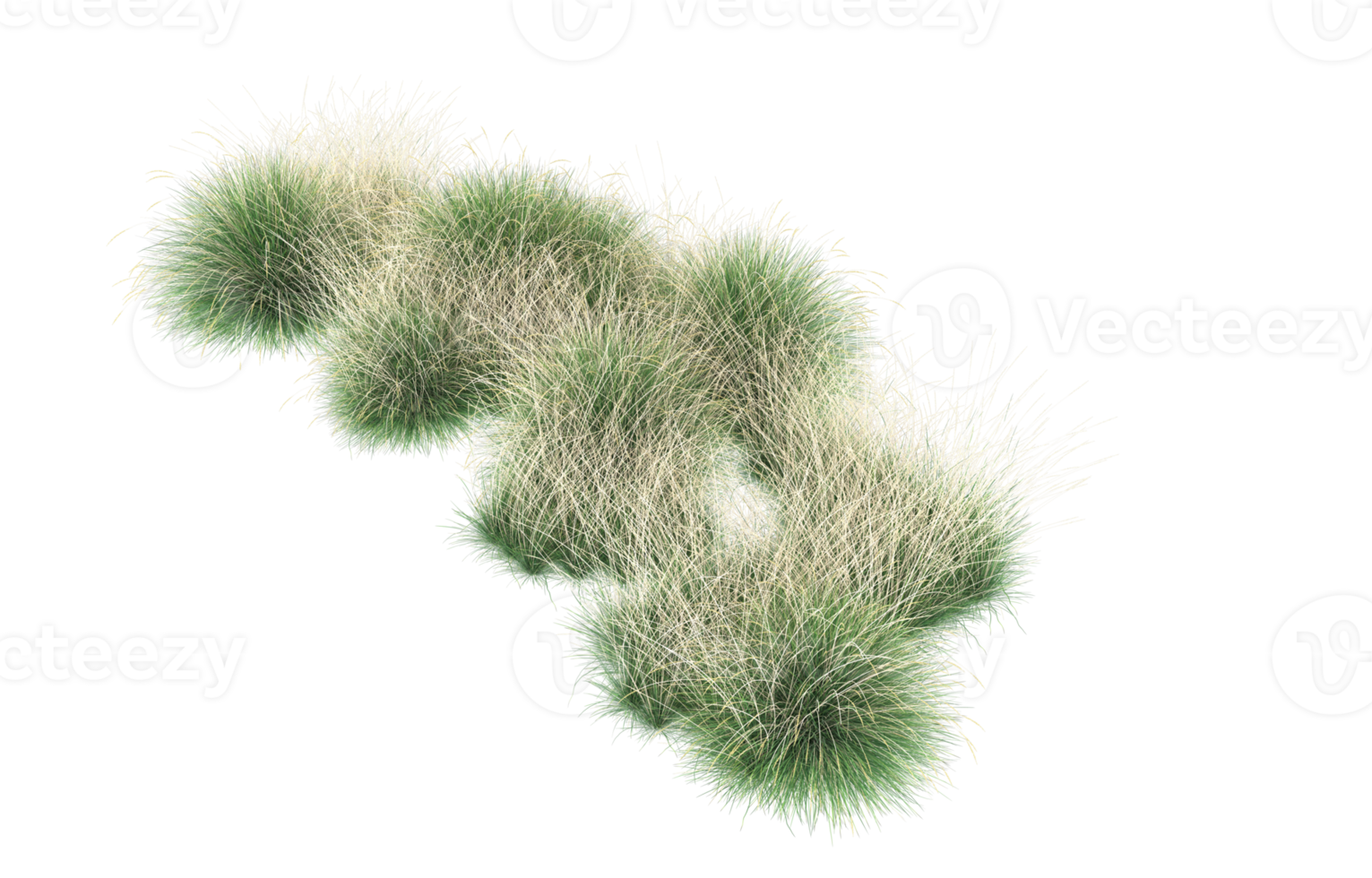 Realistic foliage isolated on transparent background. 3d rendering - illustration png