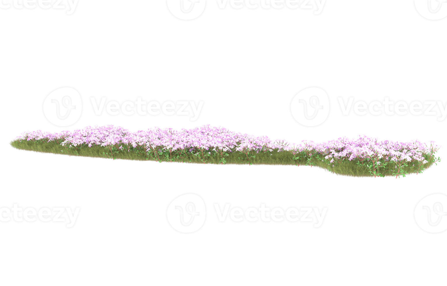 realistisk lövverk isolerat på transparent bakgrund. 3d tolkning - illustration png