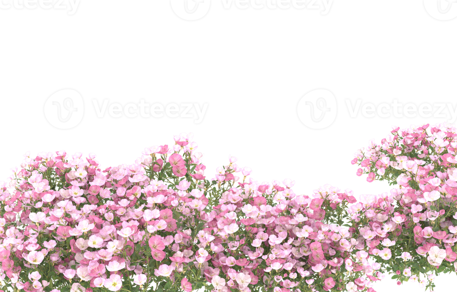 Realistic foliage isolated on transparent background. 3d rendering - illustration png