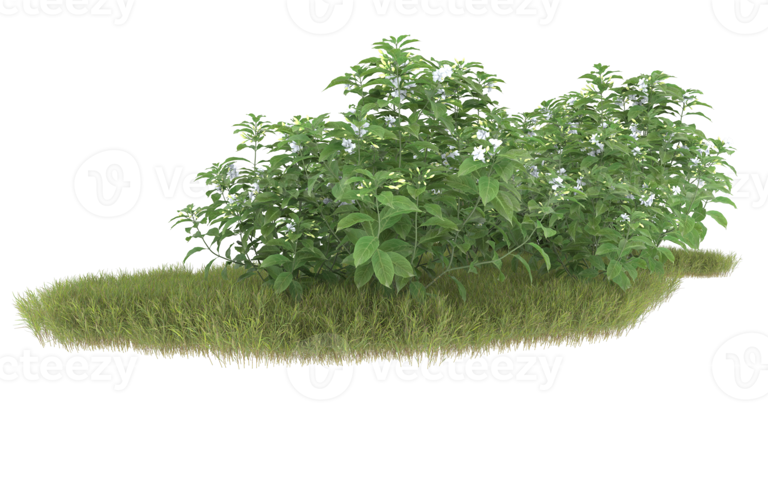 Realistic foliage isolated on transparent background. 3d rendering - illustration png