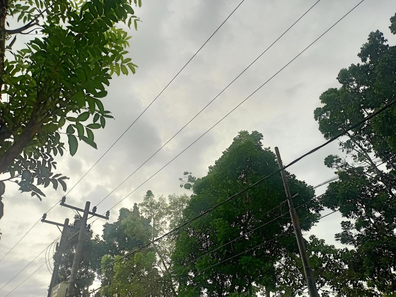 beautiful natural scenery in the blue sky, white clouds and many green trees around it photo