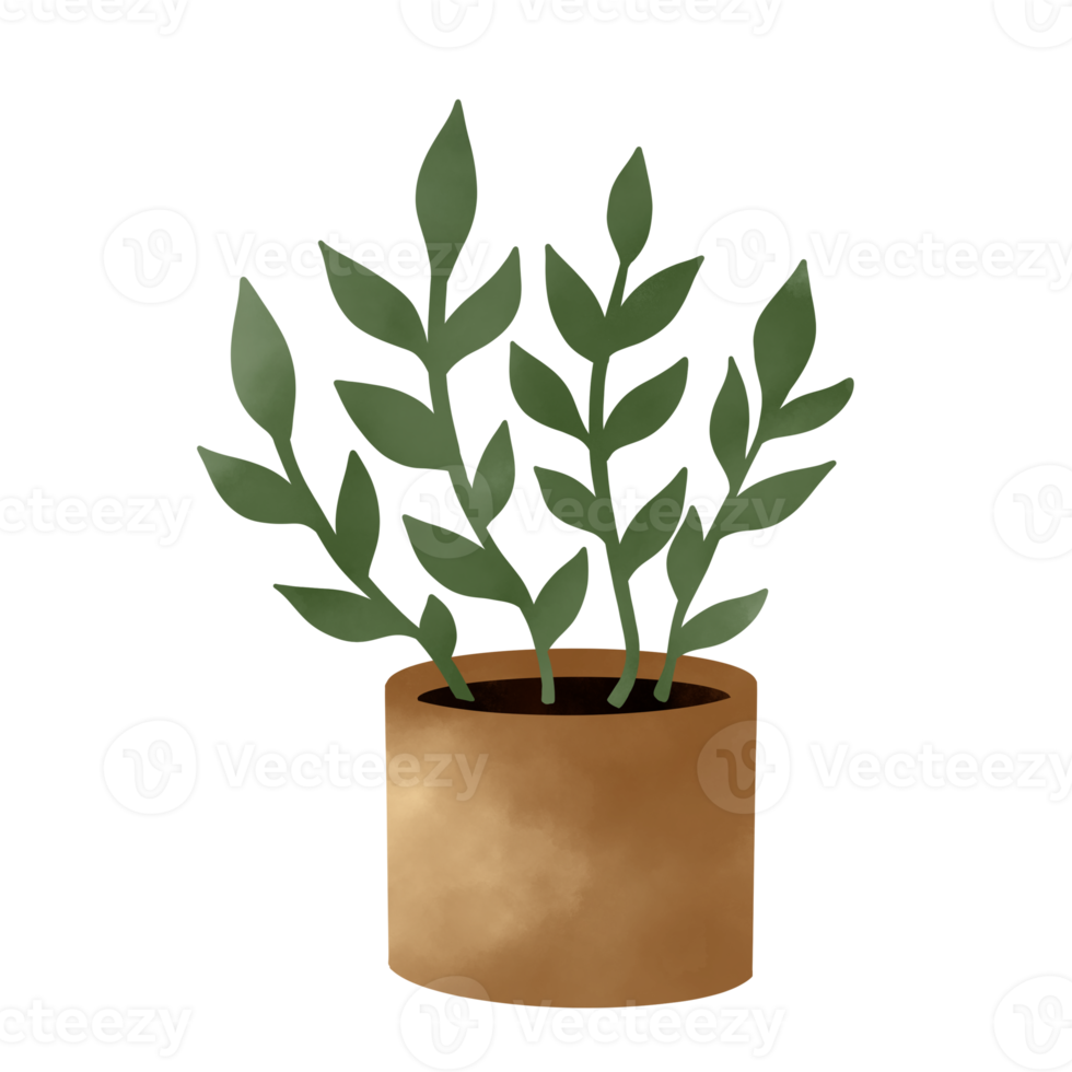 Potted Plants Illustration. House Plants. png