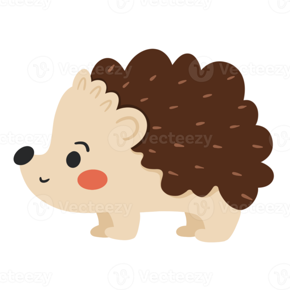 Cute Hedgehog Illustration png