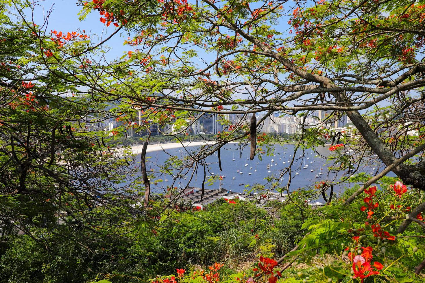 Rio de Janeiro, RJ, Brazil - 10h December 2022 - Botafogo Cove viewed from Pasmado Belvedere photo
