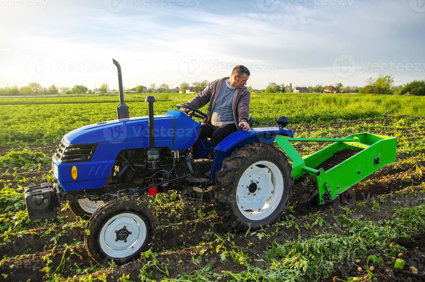 A farmer on a tractor digs potatoes with a digger. The use of modern technology on the farm. Free people from heavy land work. Farming and farmland. Countryside. Food production photo