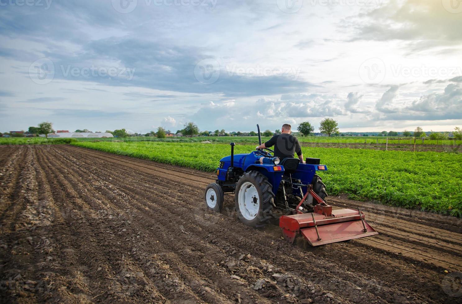 Farmer on tractor cultivates farm field. Milling soil, crumbling ground before cutting rows. Farming, agriculture. Loosening surface, land cultivation. Field work at dawn. Agribusiness, agroindustry photo