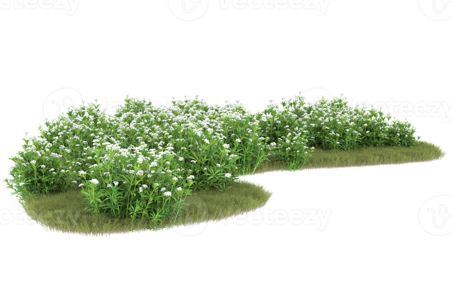 Realistic foliage isolated on transparent background. 3d rendering - illustration png