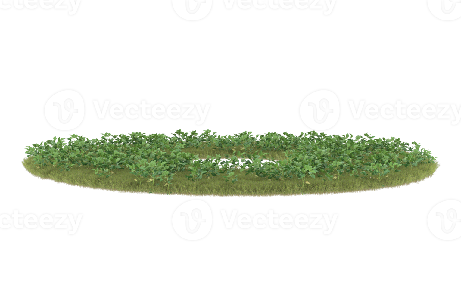Realistic foliage isolated on transparent background. 3d rendering - illustration png