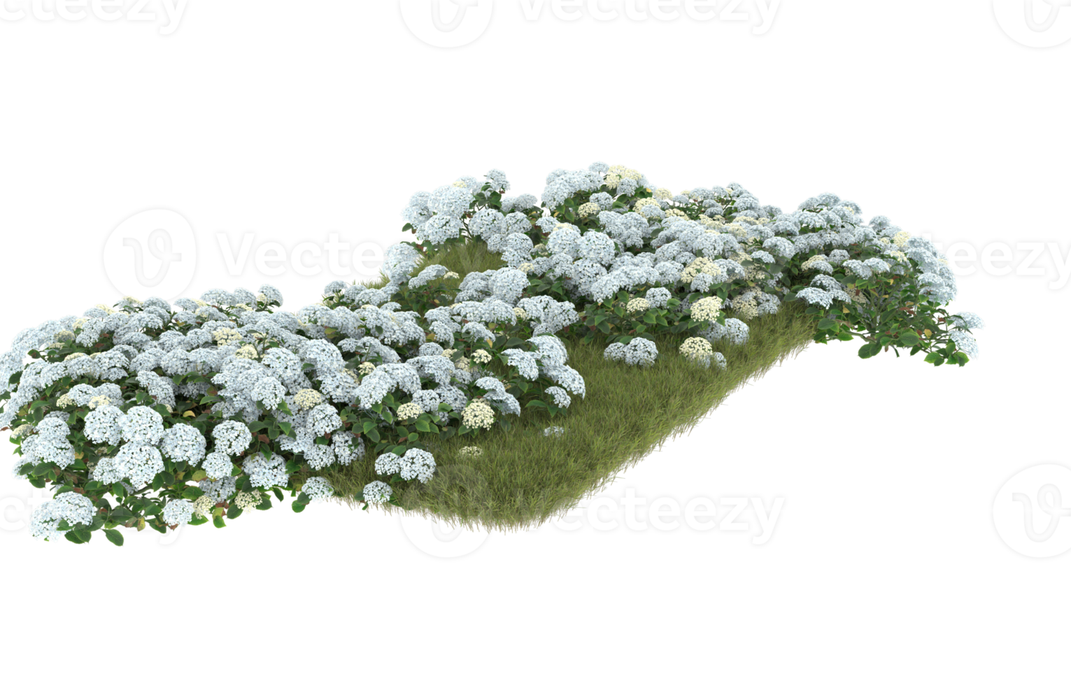 Realistic foliage isolated on transparent background. 3d rendering - illustration png