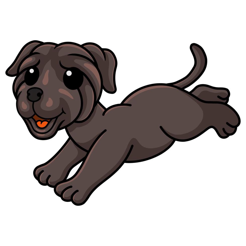 Cute neapolitan mastiff dog cartoon running vector