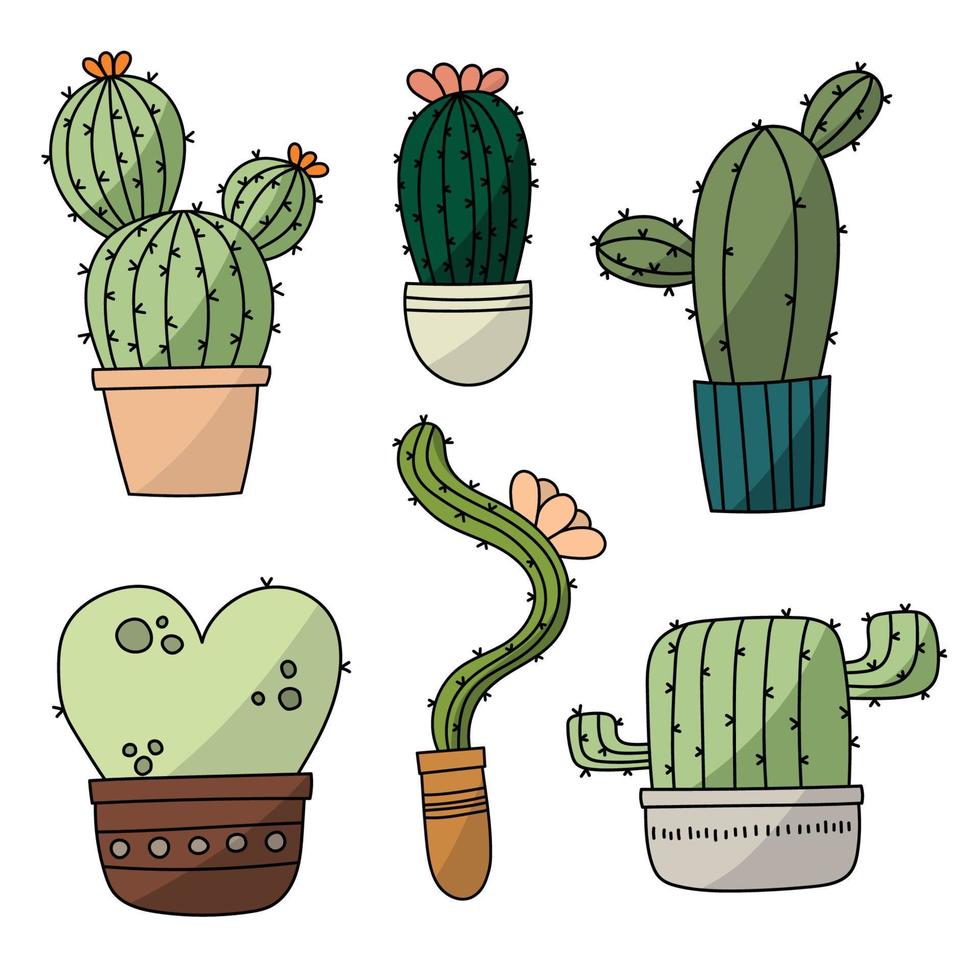 Vector set of bright cactus. Cactus with flowers.