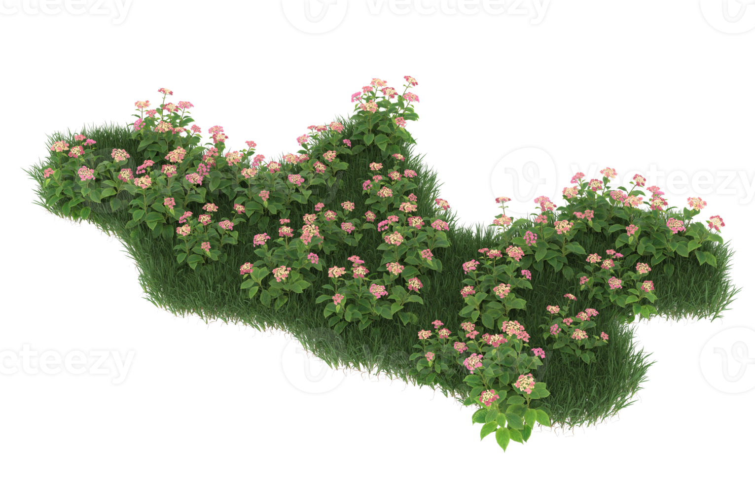 Realistic foliage isolated on transparent background. 3d rendering - illustration png