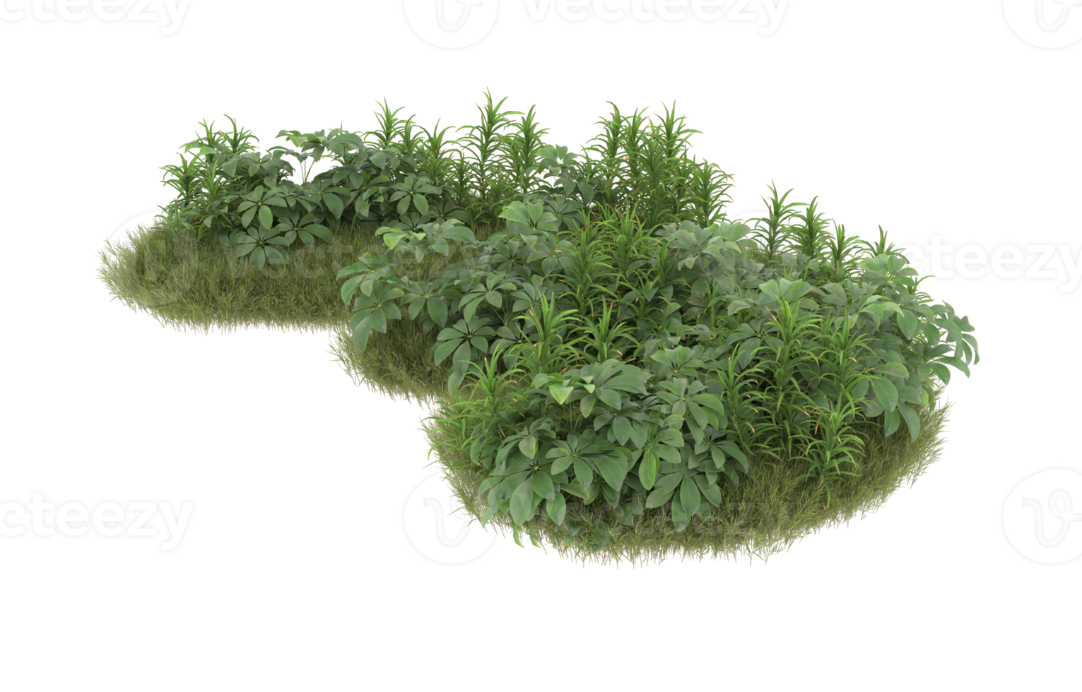 Realistic foliage isolated on transparent background. 3d rendering - illustration png