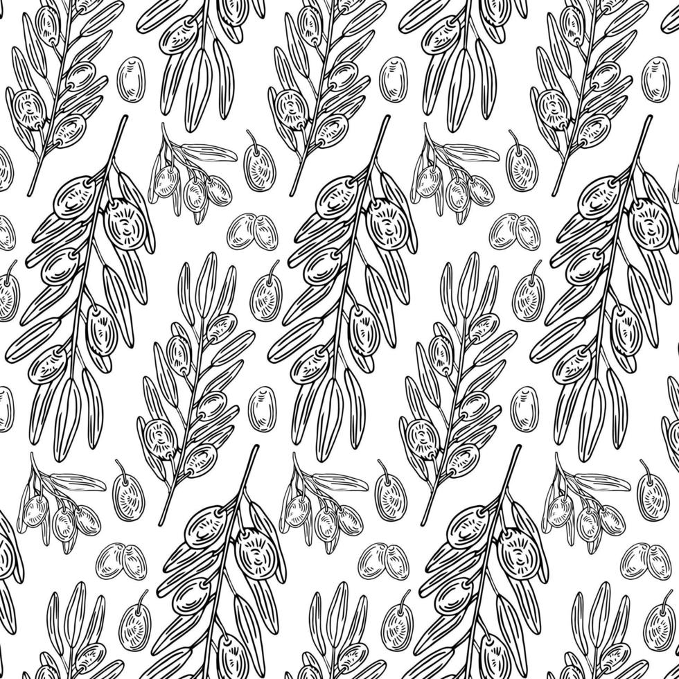 Black olive pattern. Greek olives on branches with leaves, hand drawn sketch vector illustration. Greek olive twig, floral decoration fresh