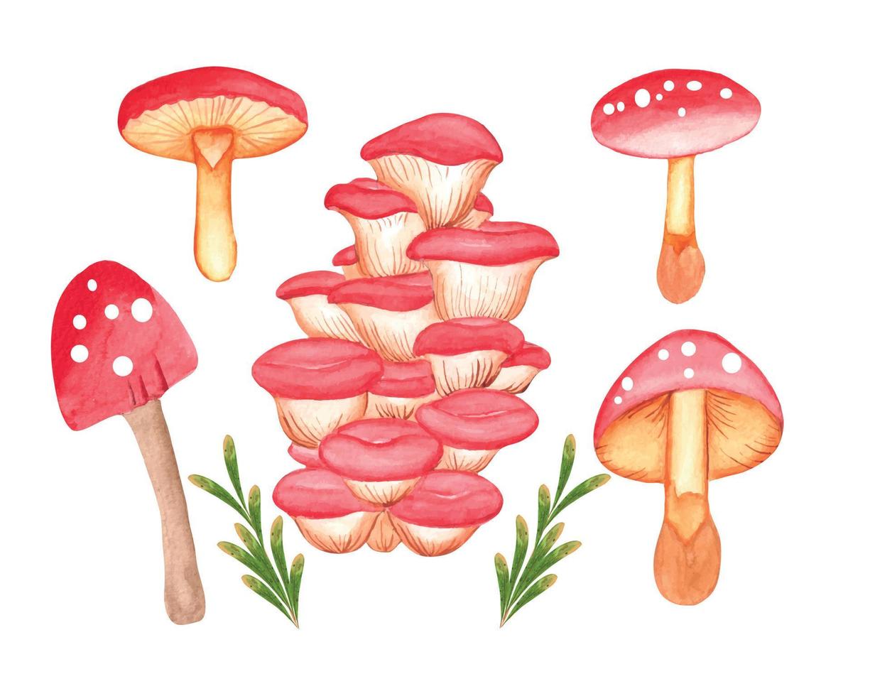 Watercolor Mushroom clipart Set, hand-drawn mushroom illustration on transparent background vector