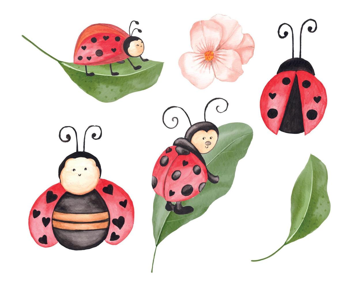Watercolor Ladybug clipart set with leaves, cute ladybug illustration vector