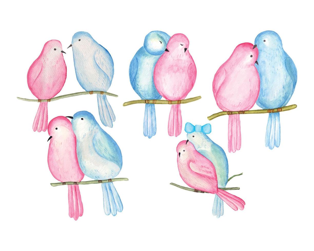 Watercolor Valentine Couple Bird clipart, valentine cute love bird illustration vector