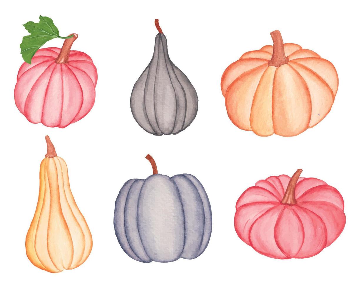 conjunto de imágenes prediseñadas de calabaza acuarela, conjunto de calabaza de otoño, vector de calabaza