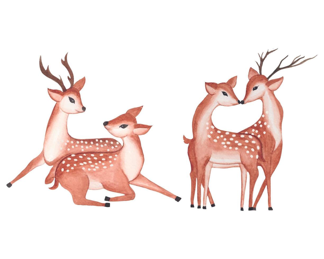 Watercolor Deer Clipart, Valentine couple deer illustration with watercolor floral frame vector